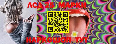 гидра Будённовск