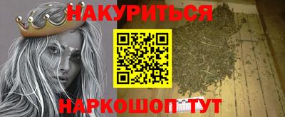 гидра Будённовск