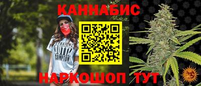 гидра Будённовск
