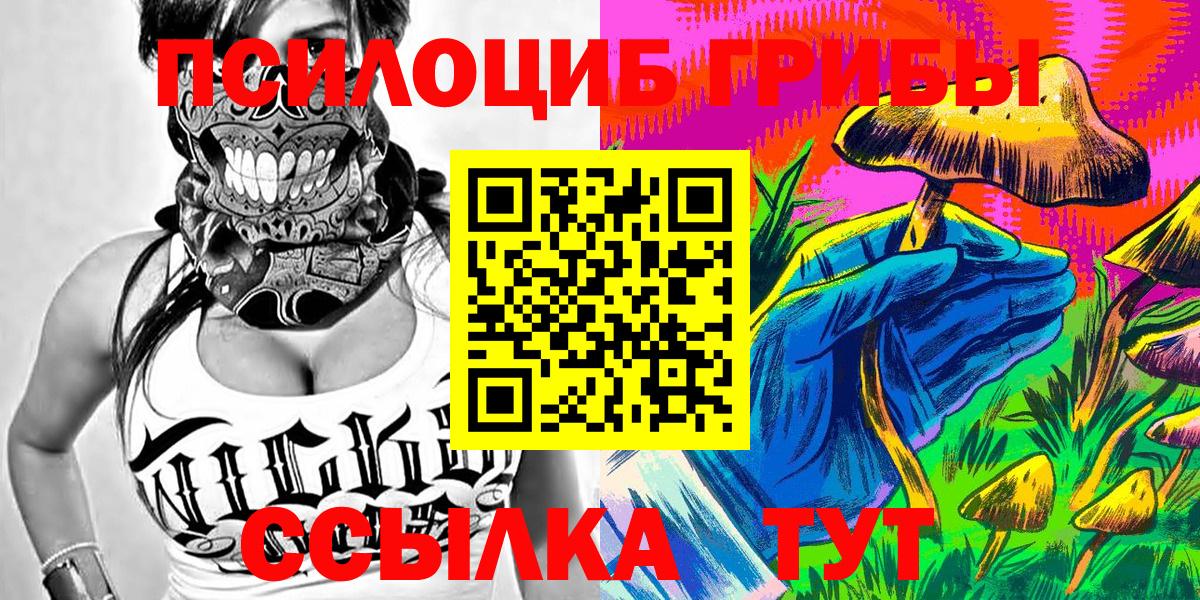 Псилоцибиновые грибы Psilocybine cubensis  Вход с VPN  Североморск  Псилоцибиновые грибы MAGIC MUSHROOMS 